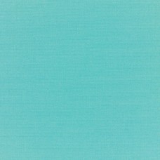 5416 Canvas Aruba